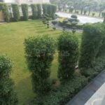 Available for Rent: Semi Furnished 3BHk Flat in Twin Towers, Orchid Greens, Raja Ka Taal, Firozabad 3 Fully furnished 3BHk Flat available for rent in Twin Towers, Orchid Greens, Firozabad (3)