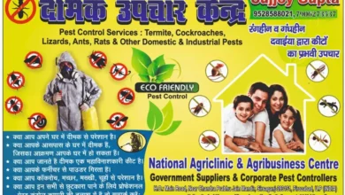 Deals/Events/Updates Now get rid of termites and insects in Firozabad.